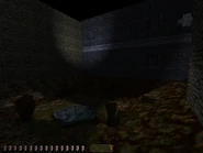 RTC garden.jpg (113 KB) The garden