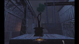 The sapling at the warehouse.