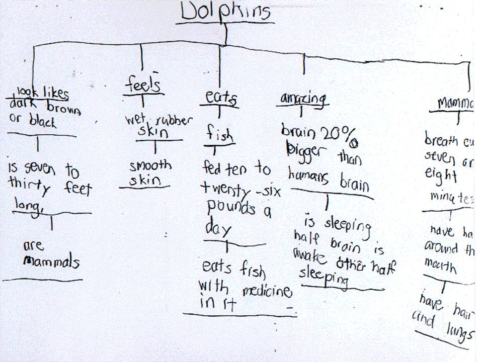 thinking map examples for math