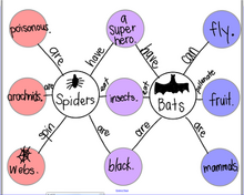 Double bubble Map