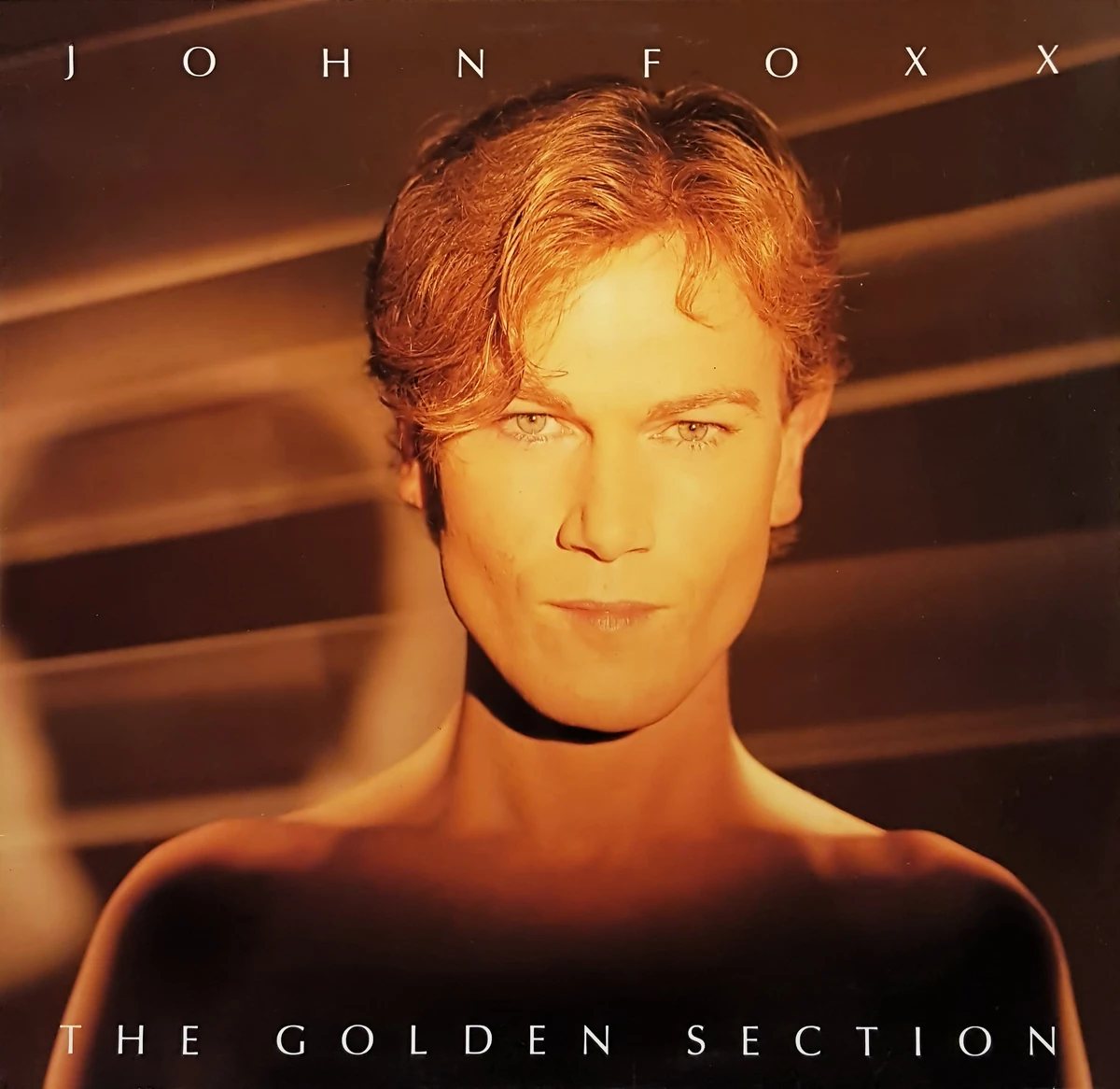 The Golden Section A Pop Culture Scrapbook Fandom