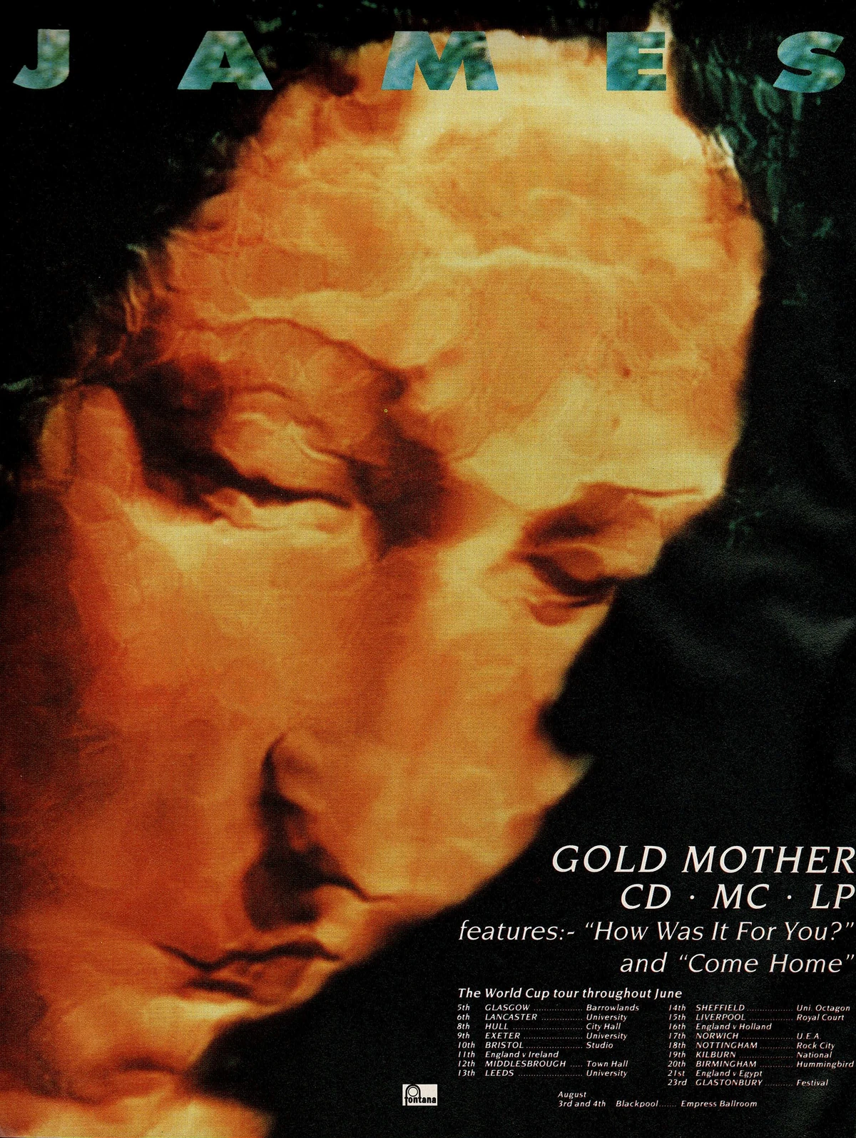 Gold Mother A Pop Culture Scrapbook Fandom