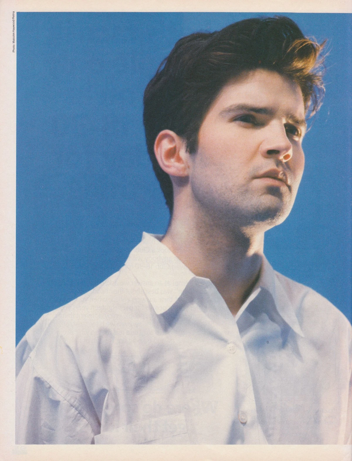 Lloyd Cole A Pop Culture Scrapbook Fandom