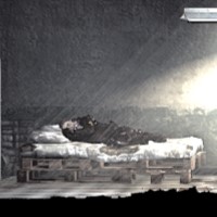 Bedsleep