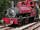 Sir Haydn