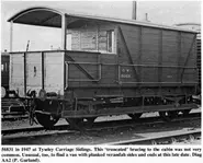 DeroriginaleechteToad.webp (93 KB) Die echte 56831