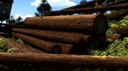 JumpingJobiWood% 2120