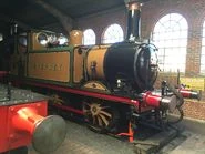 Der echte Stepney 2015