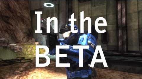In the Beta