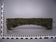 Referencia de la regla de la octava temporada