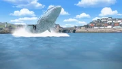 Referencia a Toad y la Ballena