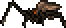 Brown Recluse.png