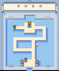 Cerulean City Gym