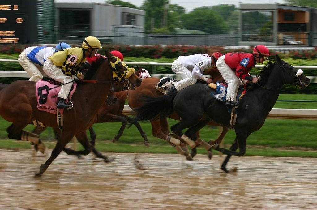 Steeplechase (horse racing) - Wikipedia