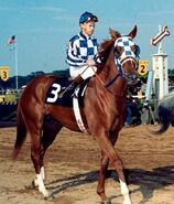 Secretariat (14)