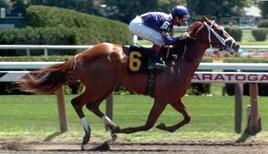 Steeplechase (horse racing) - Wikipedia