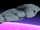 Gorath Strike Cruiser