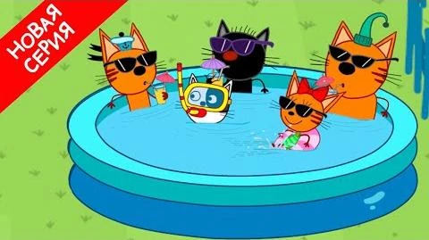 bally tri kota viki fandom