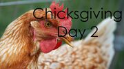 ChicksgivingDay2