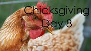 ChicksgivingDay8