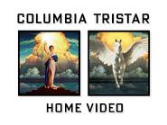 Columbia TriStar Home Video On Screen Logo 2