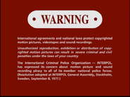 English Interpol Warning screen used on DVD releases (4:3 aspect ratio).