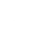 Flagellum Icon