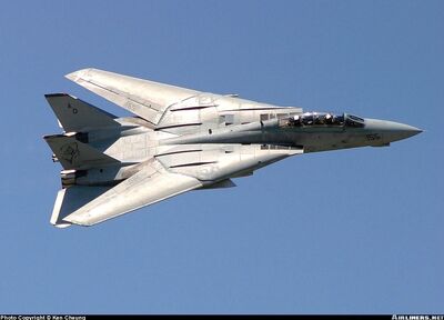 Grumman F-14 Tomcat | Thunder Wings Wiki | Fandom Grumman F-14 Tomcat | Thunder Wings Wiki | Fandom