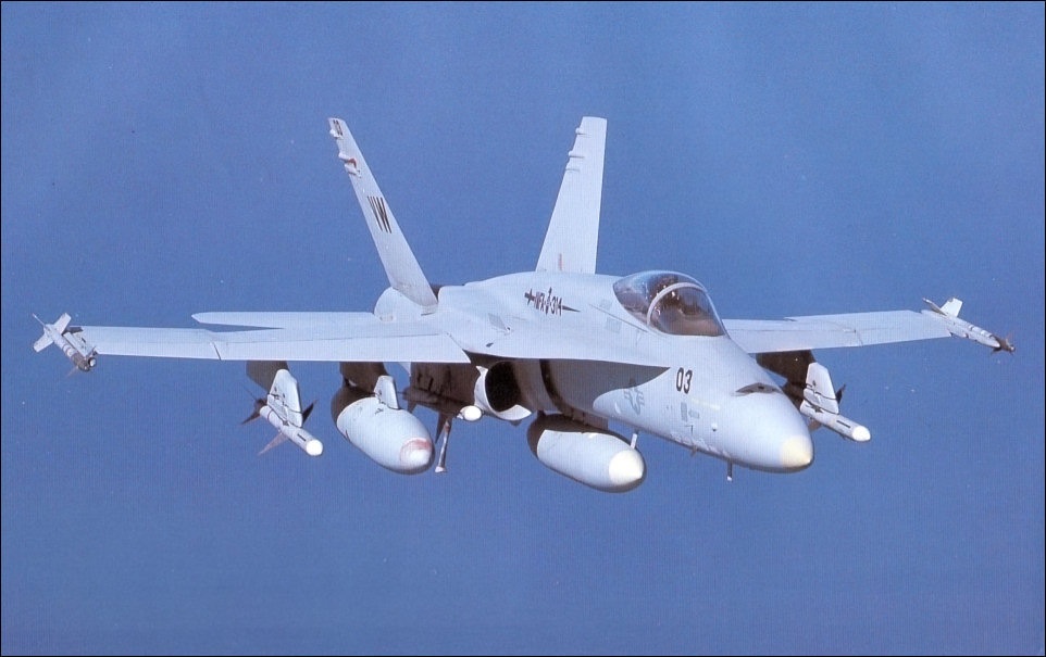 航空機・ヘリコプター 73 HerpaBoeing F/A-18F Super Hornet 航空機・ヘリコプター 73 HerpaBoeing F/A-18F Super Hornet