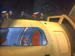 Terror in New York City