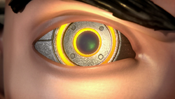 BrainsvsBrawnDVD01382