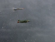 Image 12fa.jpeg (56 KB)