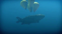 Signals Pt 2 53.jpg (161 KB) "Inflater bags deployed."