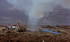 Arrow indicates small tree on fire