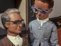 Giant alligators - really!