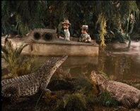 The boat passes two alligators