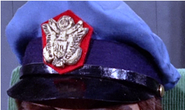 Air Crew Cap Badge