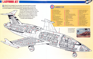 Ladybird cutaway