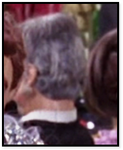 Man with grey hairj(tda)