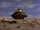 Martian Flying Saucer