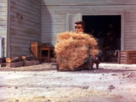 CW604.png (849 KB) Time to bail-out