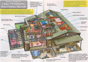 Bonga bonga (cutaway)