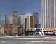 In Terror In New York City