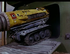 Mole running along the top of the door