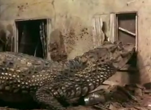 Thunderbirds Attack of the Alligators