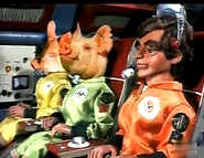 "Some Of My Best Friends Are Pigs..."