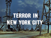 Terror in New York City