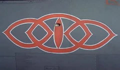 The strange oval marking