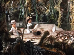 Back through the swamp