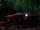 Jimmy Bondson's Convertible